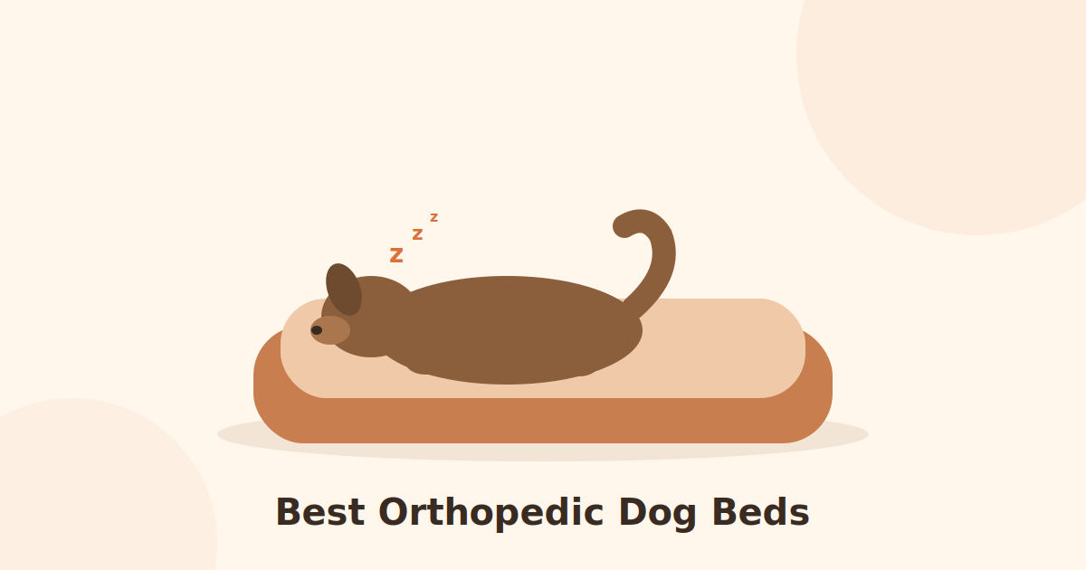 Senior dog resting comfortably on orthopedic dog bed.
