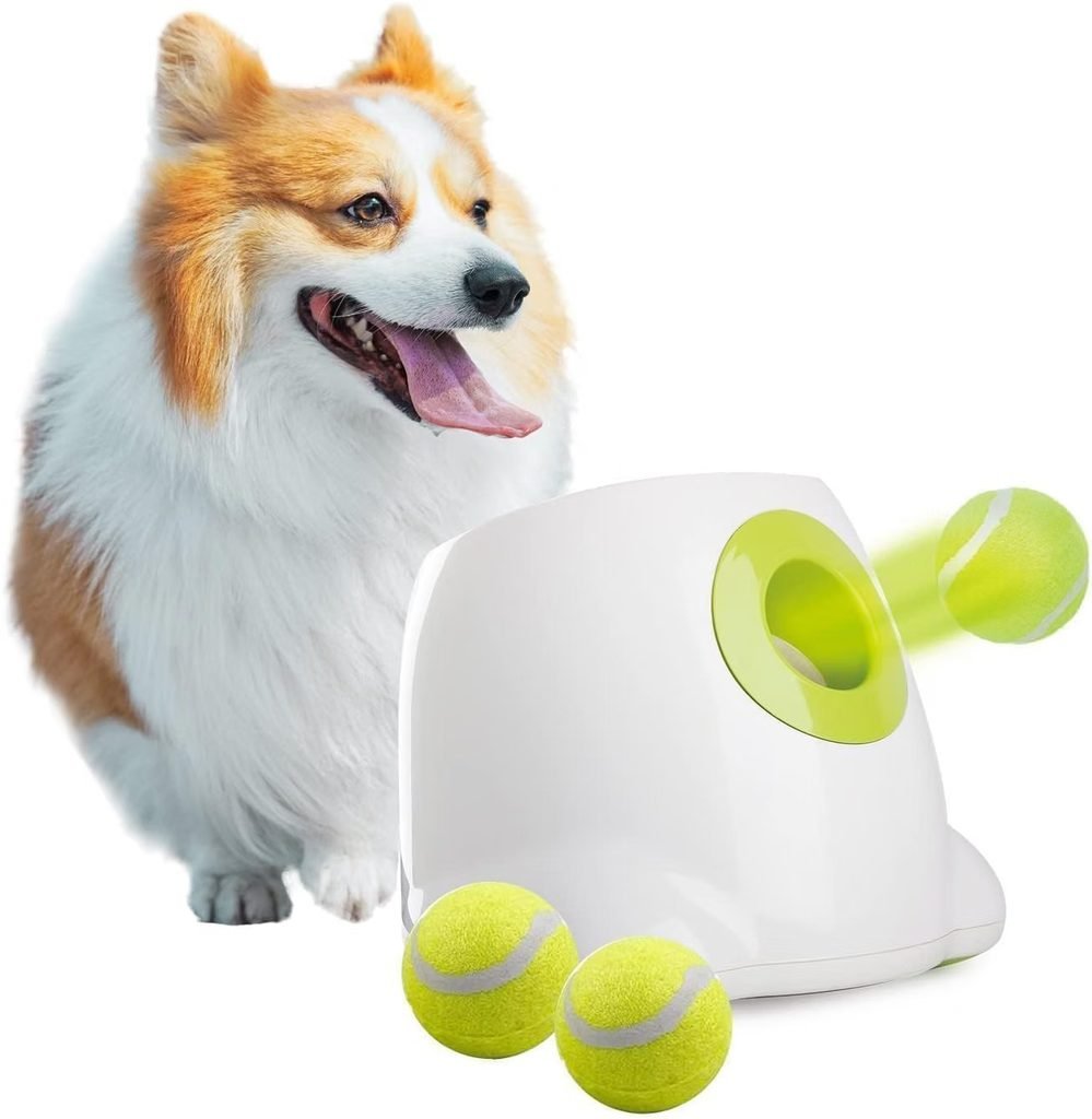 Automatic Dog Ball Launcher for dogs left home alone