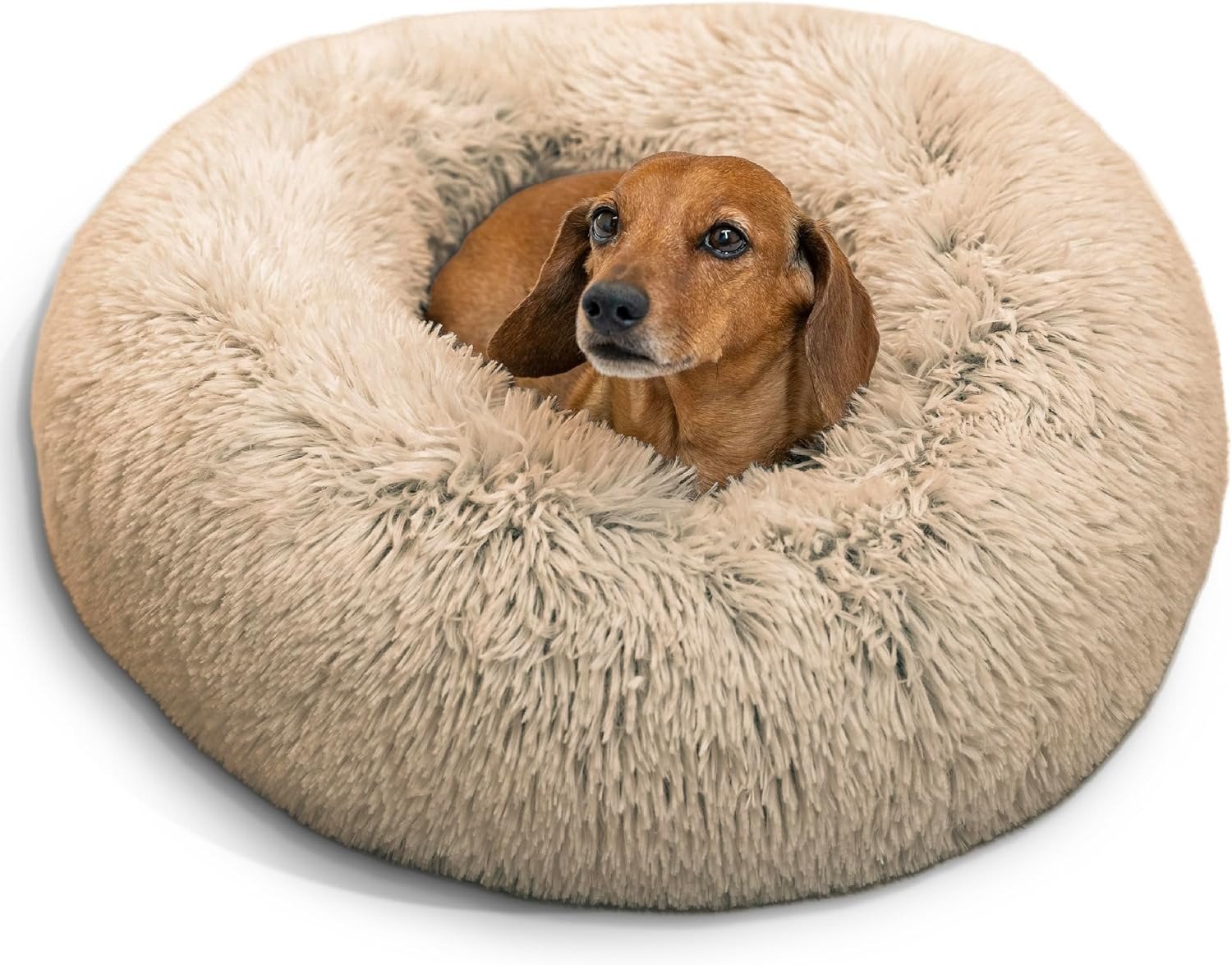 Best Friends by Sheri Original Calming Donut Bed for small dogs and toy breed
