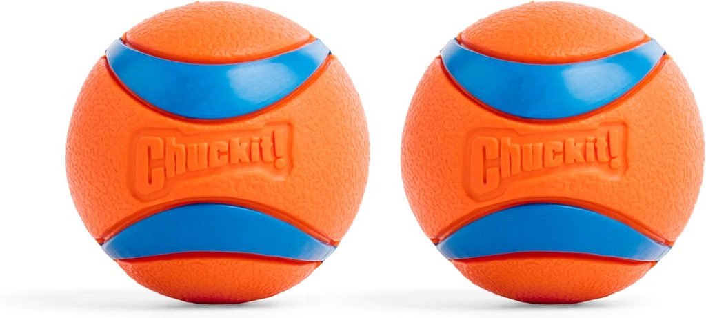 Chuckit Ultra Ball Dog Toy- Best Budget