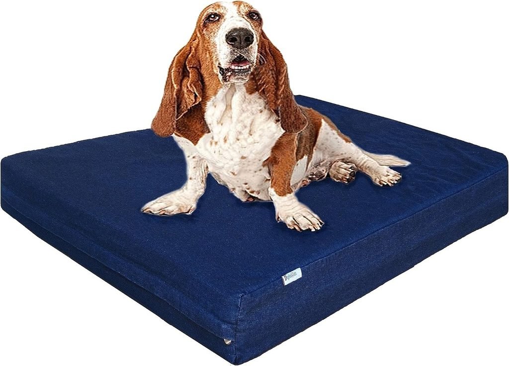 Dogbed4less Large Orthopedic Memory Foam Dog Bed 