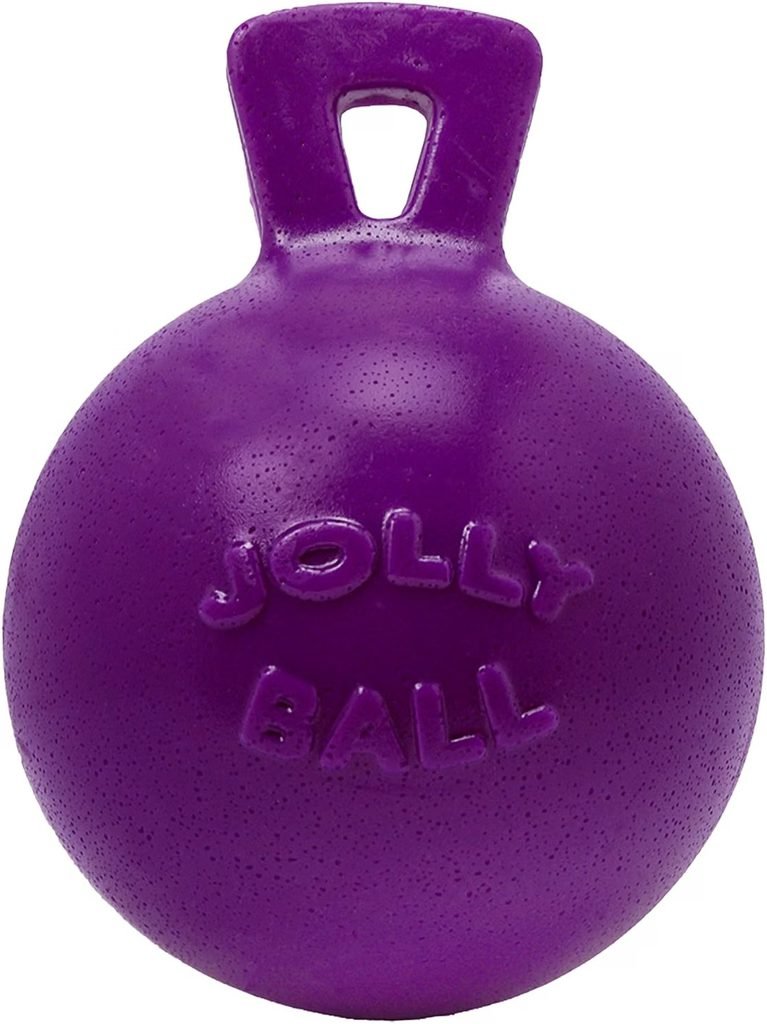 Jolly Pets Jolly Ball Dog Toy- Best Budget