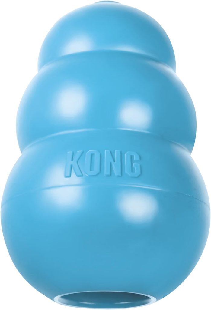 KONG Puppy — Best for Treat-Dispensing