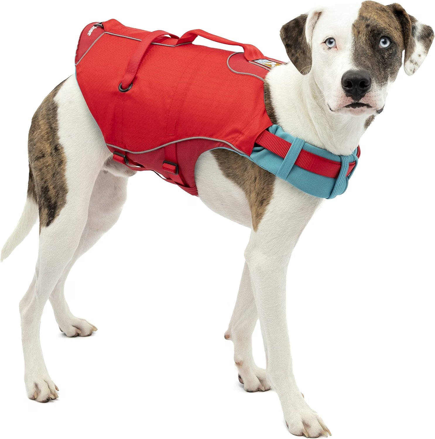 Kurgo Surf-n-Turf Dog Life Jacket