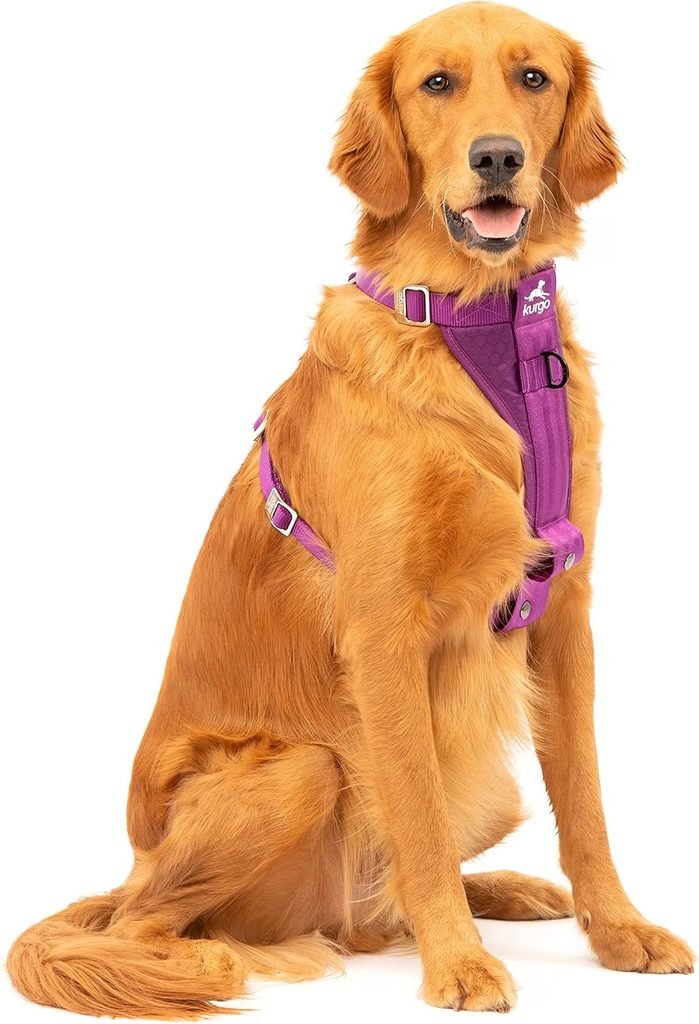Kurgo Tru-Fit Enhanced Strength Harness for large dogs