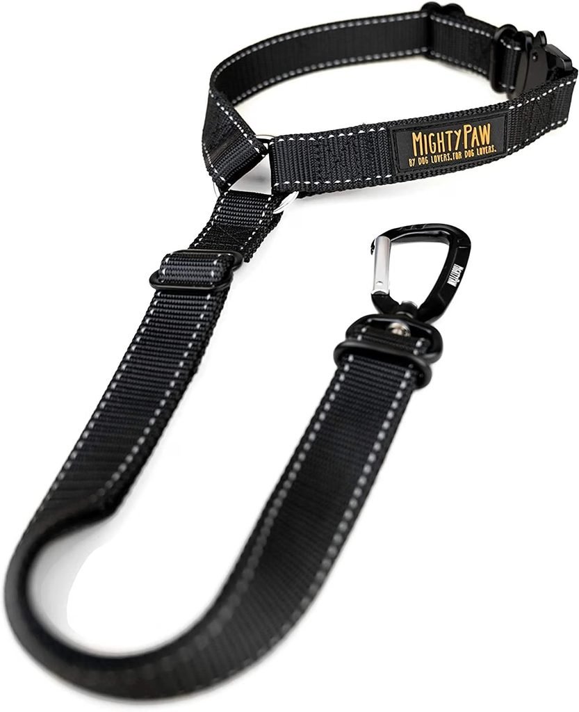 Mighty Paw seat belt tether for budget dog car travel