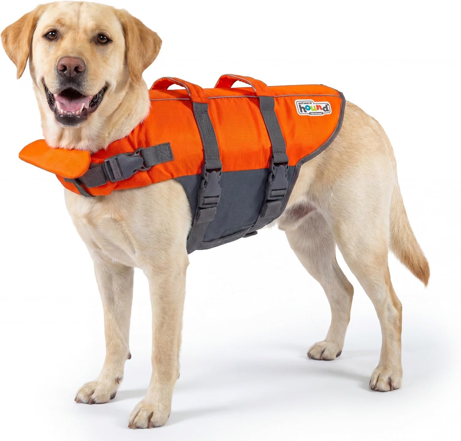Dog Life jacket for Boating