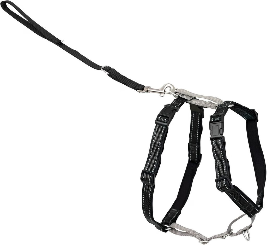 PetSafe 3-in-1 Reflective Dog Harness with Car Control Strap