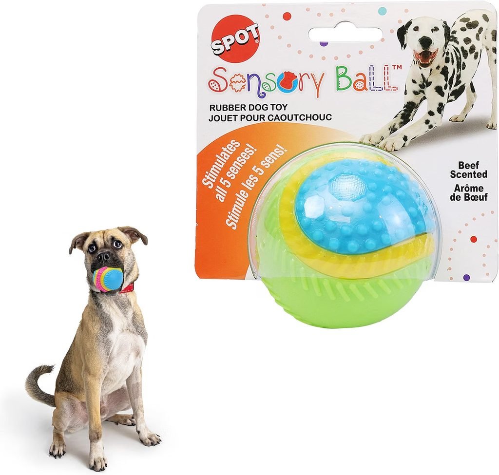 SPOT Sensory Ball Dog Toy for Blind or Visually Impaired Dogs