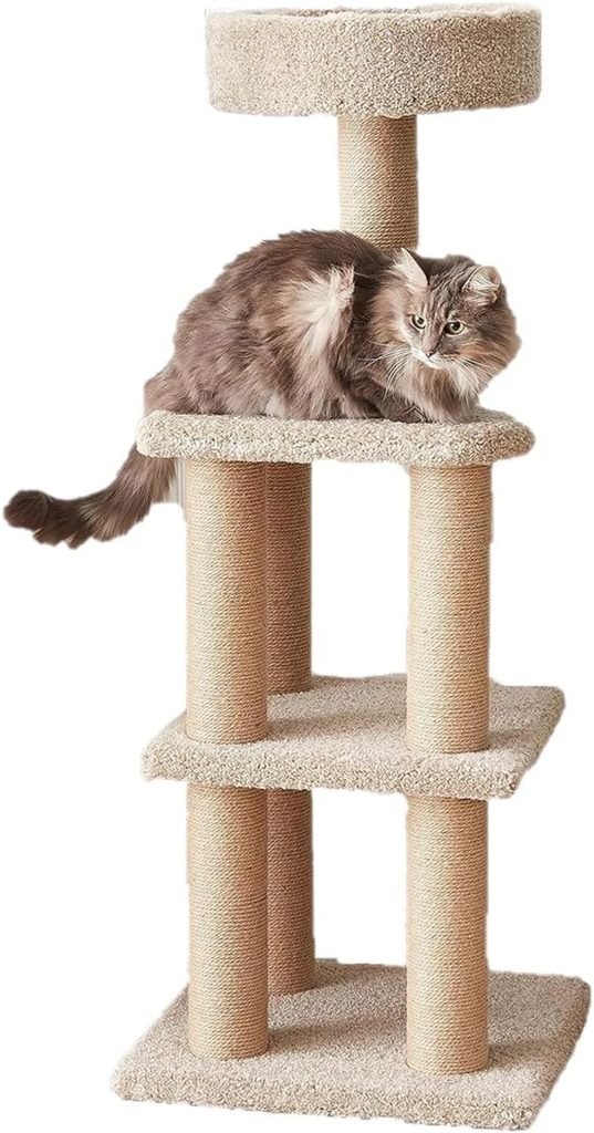 Amazon Basics Multi-Platform Cat Tree