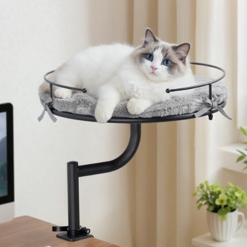 Petcozife Cat Desk Bed for working from home